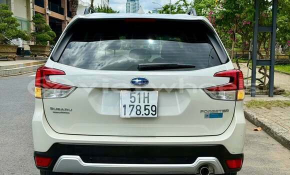 Buy Used Subaru Forester Car Buy Used Subaru Forester Car
