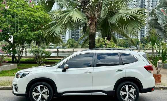 Buy Used Subaru Forester Car Buy Used Subaru Forester Car
