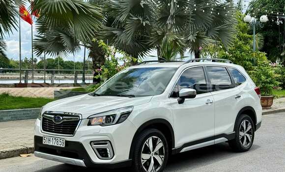 Buy Used Subaru Forester Car Buy Used Subaru Forester Car