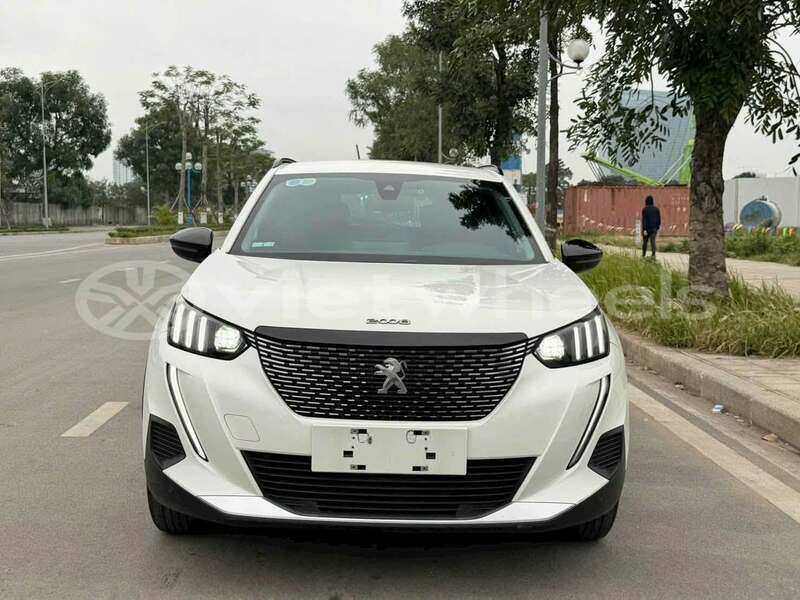 Big with watermark peugeot 2008 ca mau ca mau 47712