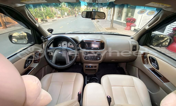 Mua Đã sử dụng Ford Escape Xe ô tô Mua Đã sử dụng Ford Escape Xe ô tô
