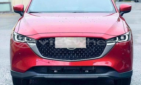 Mua Mới Mazda CX-8 Xe ô tô Mua Mới Mazda CX-8 Xe ô tô
