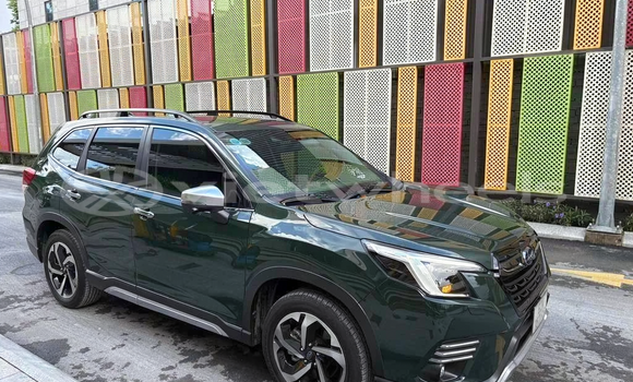 Mua Đã sử dụng Subaru Forester Xe ô tô Mua Đã sử dụng Subaru Forester Xe ô tô