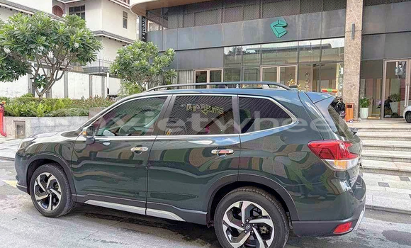 Mua Đã sử dụng Subaru Forester Xe ô tô Mua Đã sử dụng Subaru Forester Xe ô tô