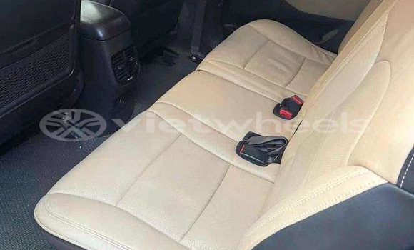 Mua Đã sử dụng KIA Rondo Xe ô tô Mua Đã sử dụng KIA Rondo Xe ô tô