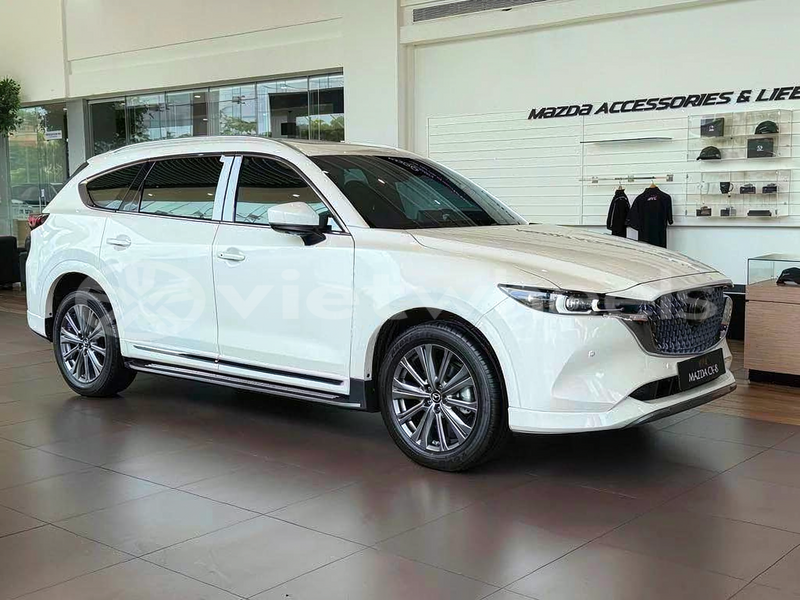 Big with watermark mazda cx 8 hanoi tp ho chi minh 47939