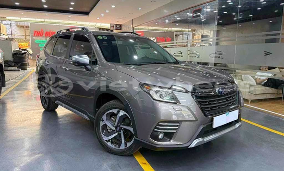 Mua Đã sử dụng Subaru Forester Xe ô tô Mua Đã sử dụng Subaru Forester Xe ô tô