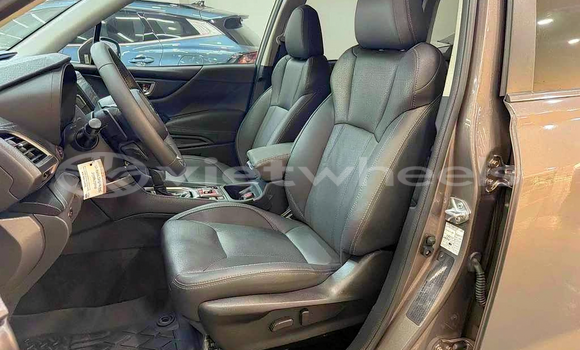 Mua Đã sử dụng Subaru Forester Xe ô tô Mua Đã sử dụng Subaru Forester Xe ô tô