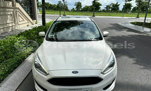 Buy Used Ford Focus Car