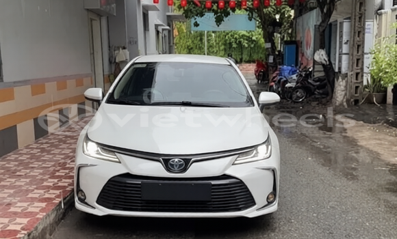 Buy Used Toyota Corolla Altis Car