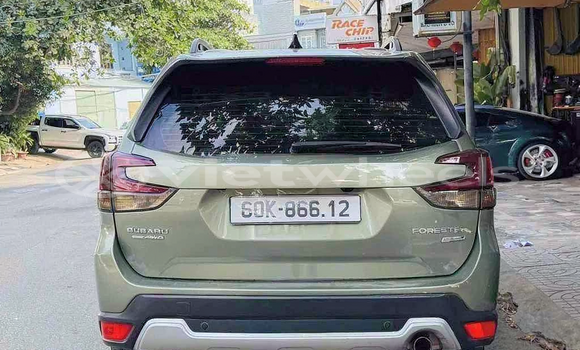 Mua Đã sử dụng Subaru Forester Xe ô tô Mua Đã sử dụng Subaru Forester Xe ô tô