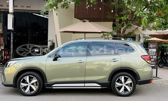 Mua Đã sử dụng Subaru Forester Xe ô tô Mua Đã sử dụng Subaru Forester Xe ô tô
