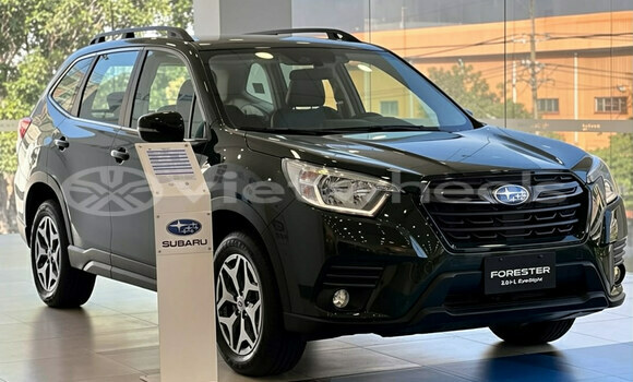 Mua Nhập khẩu Subaru Forester Xe ô tô Mua Nhập khẩu Subaru Forester Xe ô tô