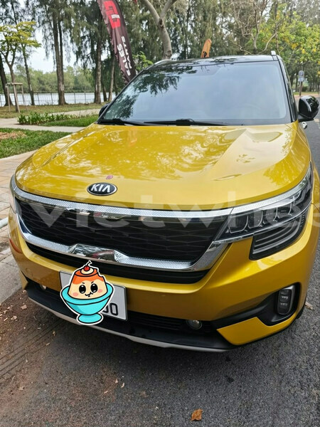 Big with watermark kia seltos hanoi tp ho chi minh 48182
