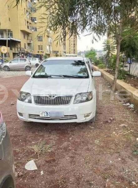 Big with watermark toyota corolla none cao bang 48263