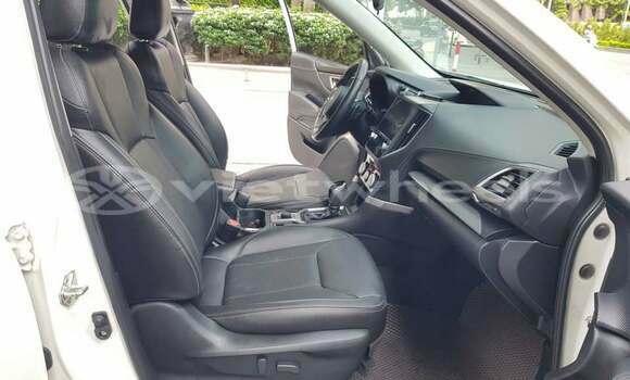 Mua Đã sử dụng Subaru Forester Xe ô tô Mua Đã sử dụng Subaru Forester Xe ô tô