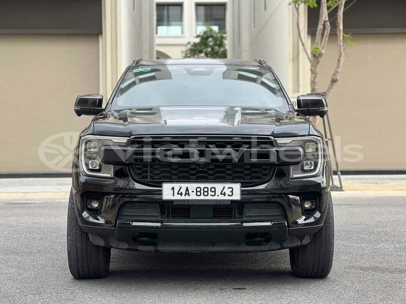 Big with watermark ford everest ca mau ca mau 48579