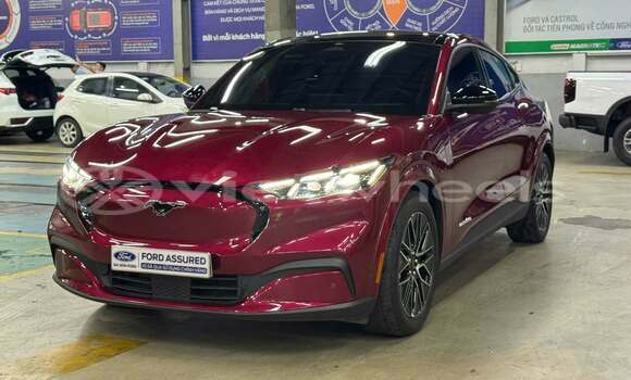 Mua Đã sử dụng Ford Ford MUSTANG Xe ô tô Mua Đã sử dụng Ford Ford MUSTANG Xe ô tô
