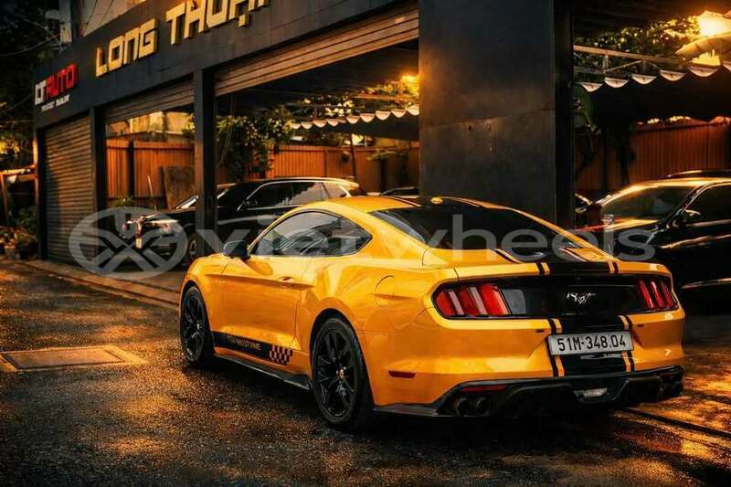 Big with watermark ford ford mustang none cao bang 48647