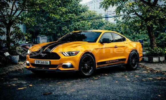 Buy Used Ford Ford MUSTANG Car Buy Used Ford Ford MUSTANG Car