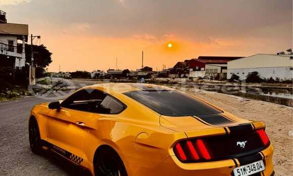 Buy Used Ford Ford MUSTANG Car Buy Used Ford Ford MUSTANG Car