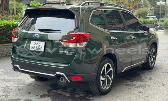 Buy Used Subaru Forester Car Buy Used Subaru Forester Car