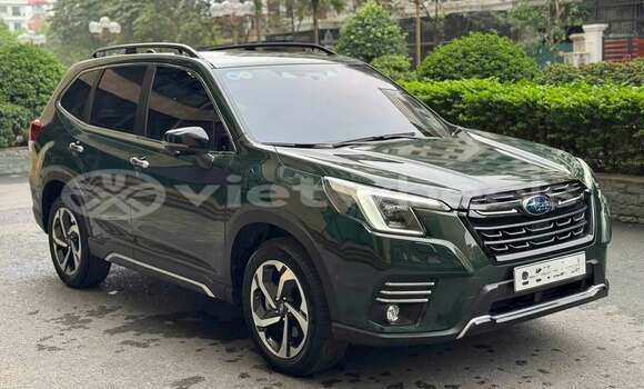 Buy Used Subaru Forester Car Buy Used Subaru Forester Car