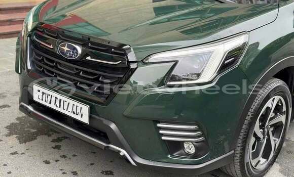 Buy Used Subaru Forester Car Buy Used Subaru Forester Car