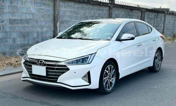 Buy Used Hyundai Elantra Car Buy Used Hyundai Elantra Car