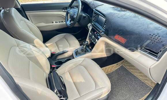 Buy Used Hyundai Elantra Car Buy Used Hyundai Elantra Car