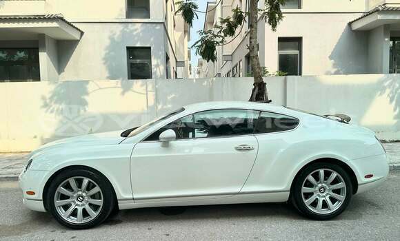 Buy Used Bentley Continental Car Buy Used Bentley Continental Car