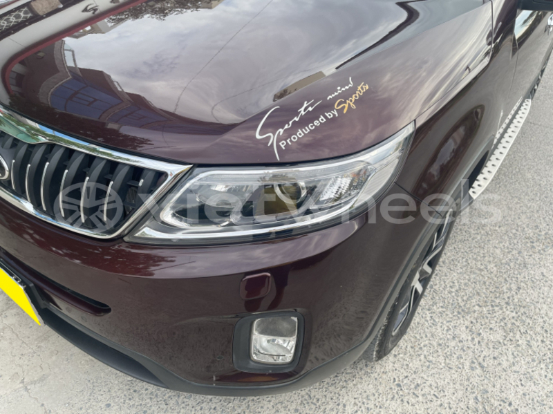 Big with watermark kia kia sorento an giang huyen an phu 4187