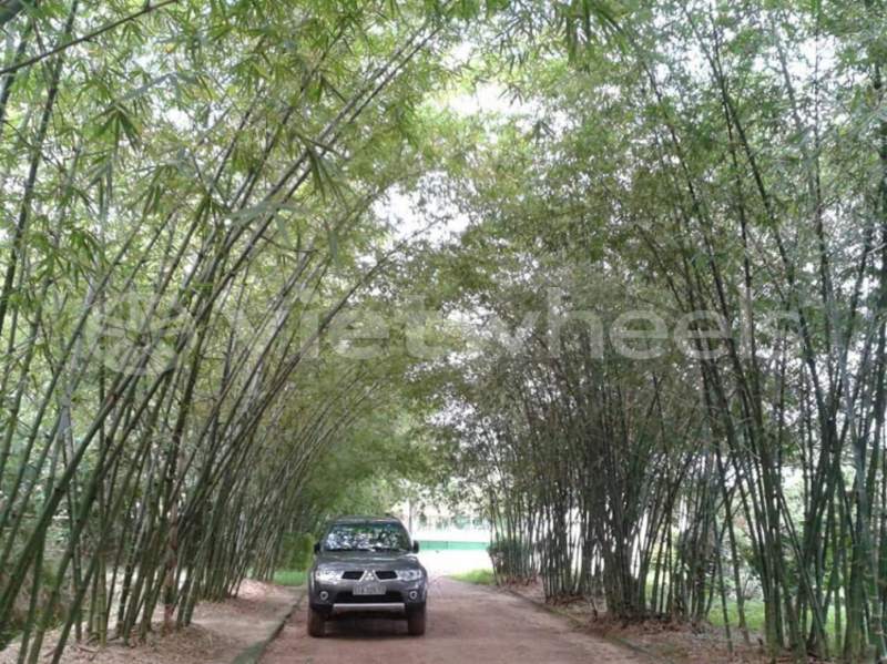 Big with watermark mitsubishi mitsubishi pajero sport an giang huyen an phu 5855